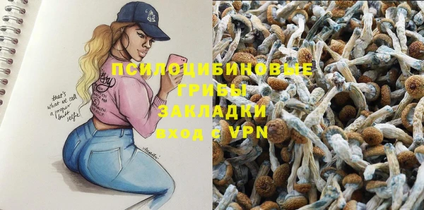 мяу мяу мука Козловка
