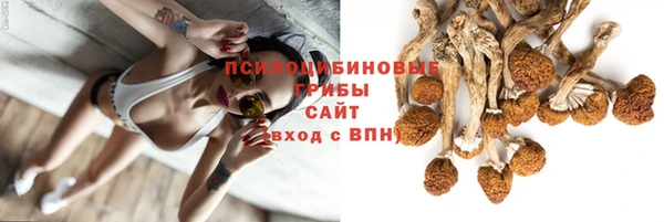 прущий лед Кодинск
