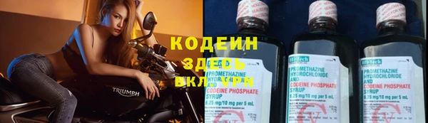 мдпв Козельск