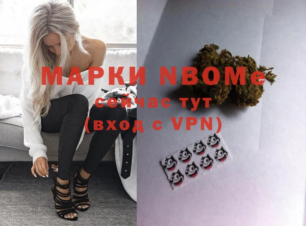 мдпв Козельск