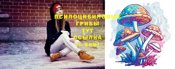 прущий лед Кодинск