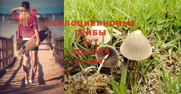 прущий лед Кодинск