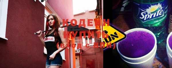 мдпв Киселёвск