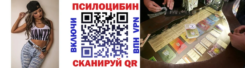 Купить закладки  Красноперекопск  Псилоцибиновые грибы Psilocybe 
