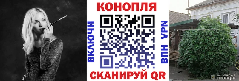 Купить где  Красноперекопск  Канабис White Widow 